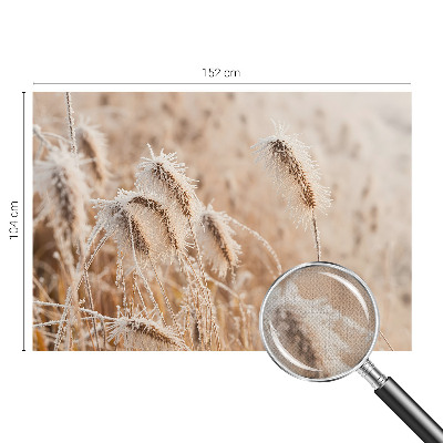 Savaime lipnus fototapetas Žiemos šalis