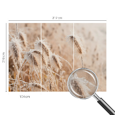 Savaime lipnus fototapetas Žiemos šalis