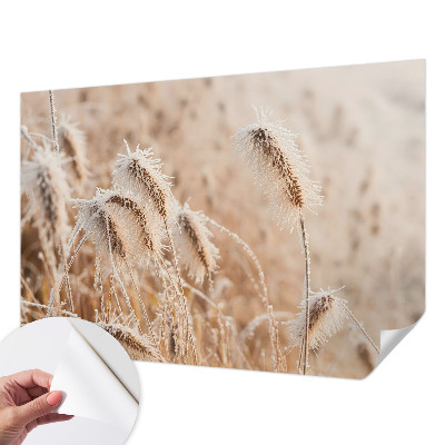 Savaime lipnus fototapetas Žiemos šalis