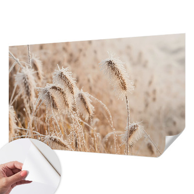 Savaime lipnus fototapetas Žiemos šalis