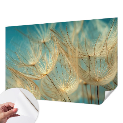 Tapetai Eterinės mælkebøtter