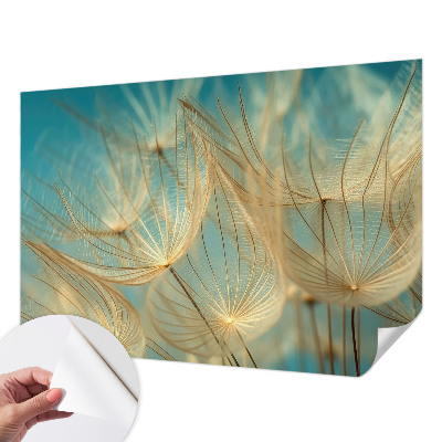 Tapetai Eterinės mælkebøtter