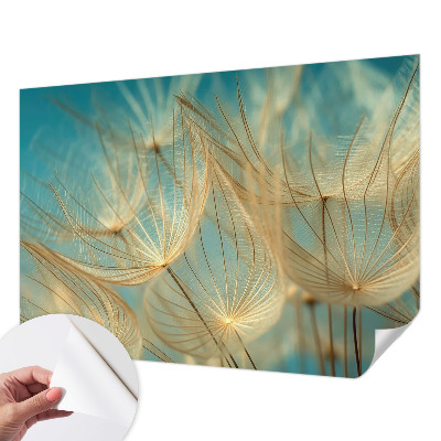 Tapetai Eterinės mælkebøtter