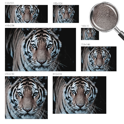 Tapetai Tigro portretas