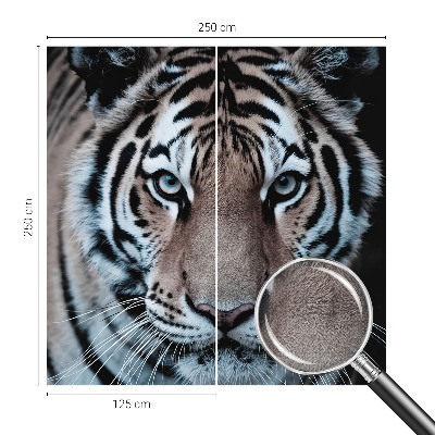 Tapetai Tigro portretas