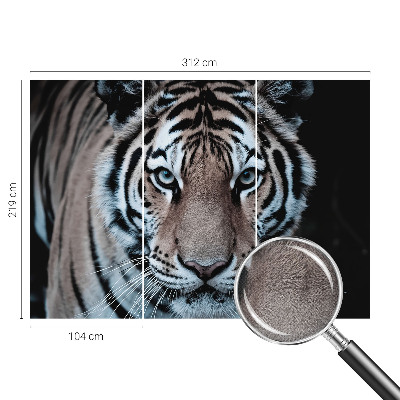 Tapetai Tigro portretas