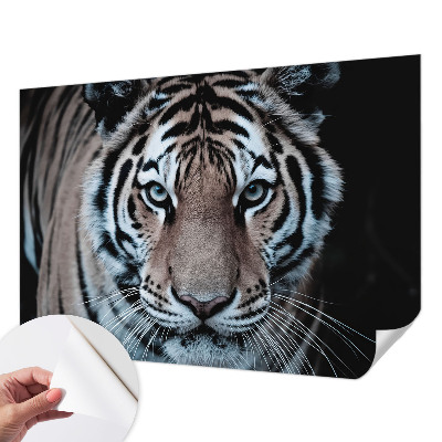 Tapetai Tigro portretas