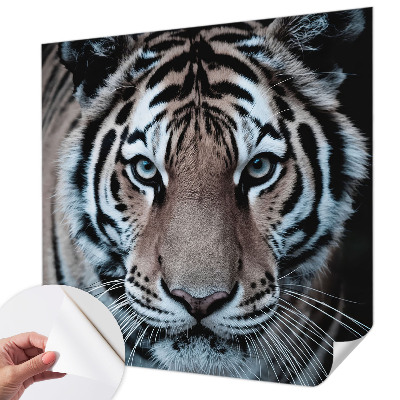 Tapetai Tigro portretas