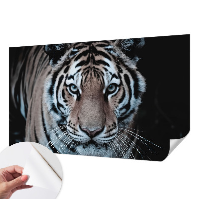 Tapetai Tigro portretas