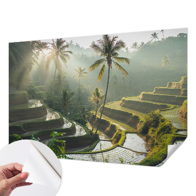 Fototapetas vaiko kambariui su Paradisterrasser motyvu