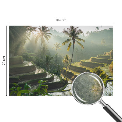 Fototapetas vaiko kambariui su Paradisterrasser motyvu