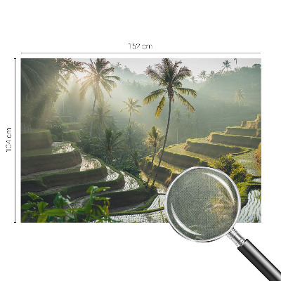 Fototapetas vaiko kambariui su Paradisterrasser motyvu