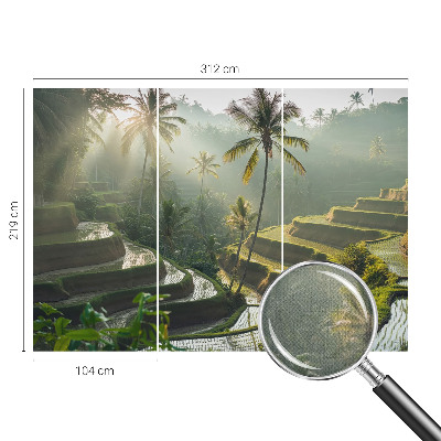 Fototapetas vaiko kambariui su Paradisterrasser motyvu