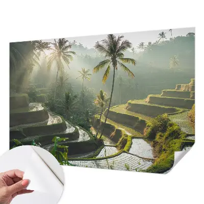 Fototapetas vaiko kambariui su Paradisterrasser motyvu