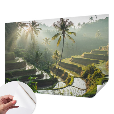 Fototapetas vaiko kambariui su Paradisterrasser motyvu