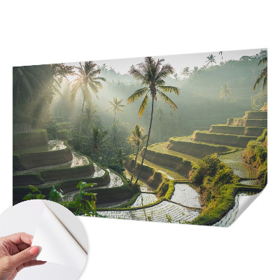 Fototapetas vaiko kambariui su Paradisterrasser motyvu