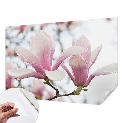 Tapetai su „Magnoliabloomster“ raštu