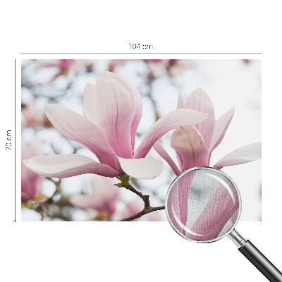 Tapetai Magnoliabloomster