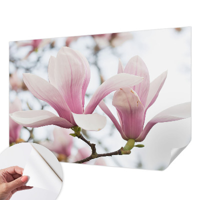 Tapetai su „Magnoliabloomster“ raštu