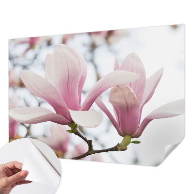 Tapetai su „Magnoliabloomster“ raštu
