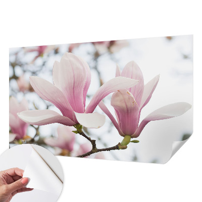 Tapetai su „Magnoliabloomster“ raštu