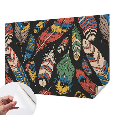 3D fototapetas Spalvingas fjeras