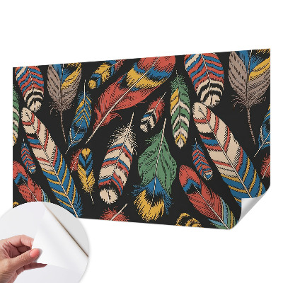 3D fototapetas su spalvingu plunksnų motyvu