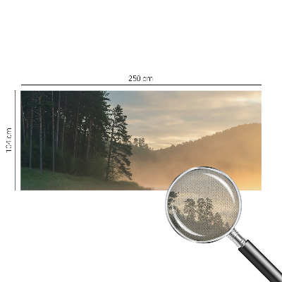 Fototapetas vaiko kambariui Tåget morgen