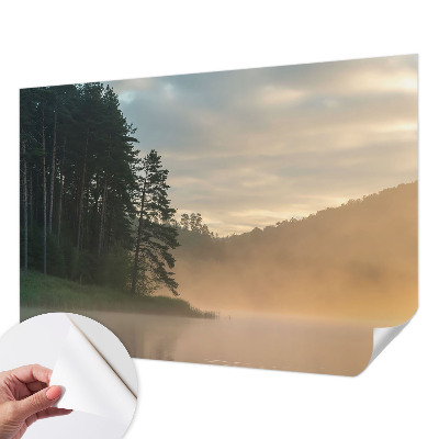 Fototapetas vaiko kambariui Tåget morgen