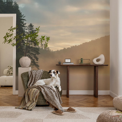 Fototapetas vaiko kambariui Tåget morgen