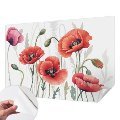 Fototapetas vaikams Røde valmuer