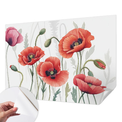 Fototapetas vaikams Røde valmuer