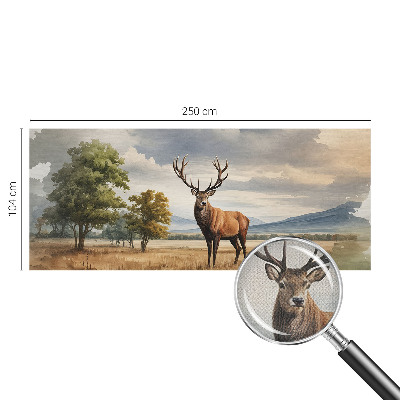 3D fototapetas su Didžiojo jūrinio parko motyvu