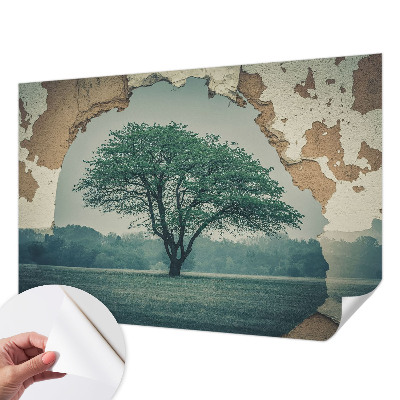 Savaime lipnus fototapetas Et ensomt træ