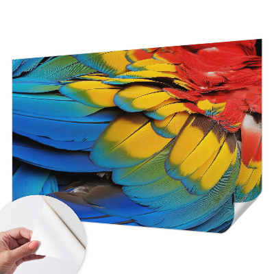 3D fototapetas sienoms su vaivorykštės plunksnų motyvu