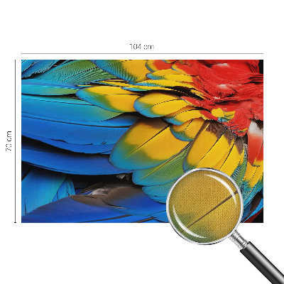 3D fototapetas sienoms su vaivorykštės plunksnų motyvu