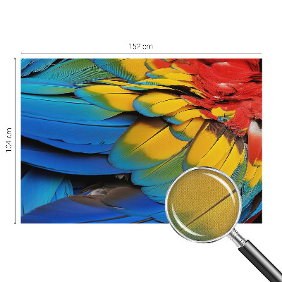 3D fototapetas sienoms su vaivorykštės plunksnų motyvu