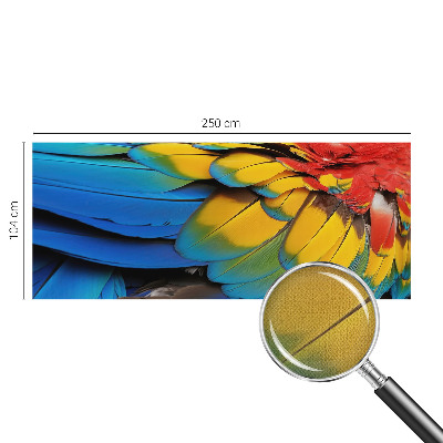 3D fototapetas sienoms su vaivorykštės plunksnų motyvu