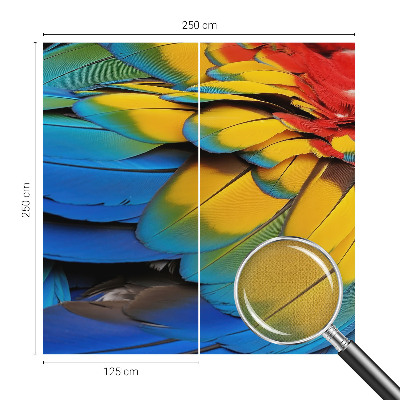 3D fototapetas sienoms Regnbuefjer