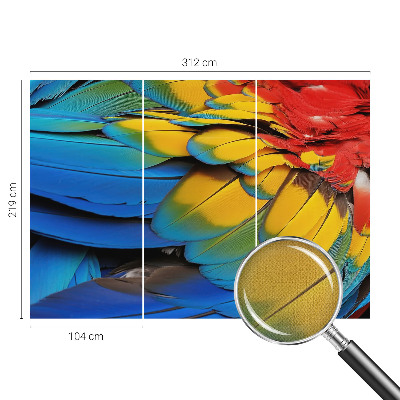 3D fototapetas sienoms su vaivorykštės plunksnų motyvu