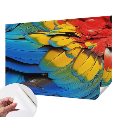 3D fototapetas sienoms su vaivorykštės plunksnų motyvu