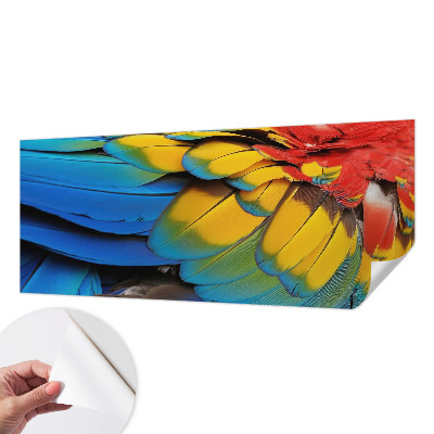 3D fototapetas sienoms su vaivorykštės plunksnų motyvu