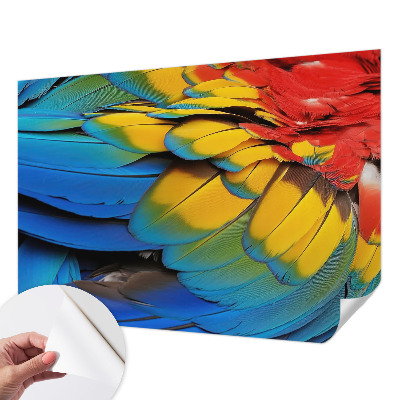 3D fototapetas sienoms su vaivorykštės plunksnų motyvu