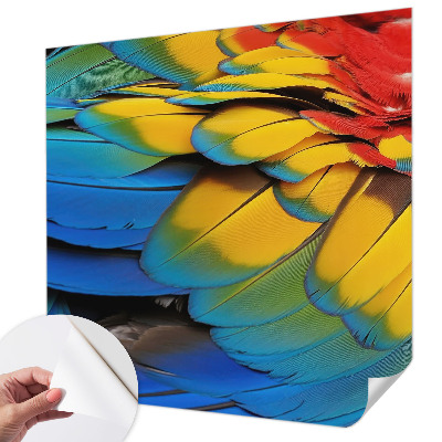 3D fototapetas sienoms su vaivorykštės plunksnų motyvu