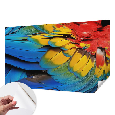 3D fototapetas sienoms su vaivorykštės plunksnų motyvu