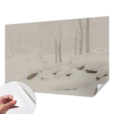 3D fototapetas su sniegu papuoštu miško motyvu