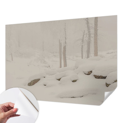 3D fototapetas su sniegu papuoštu miško motyvu