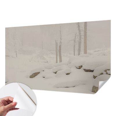 3D fototapetas su sniegu papuoštu miško motyvu