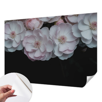 Savaime lipnus fototapetas En delikatesinis kibirėlis