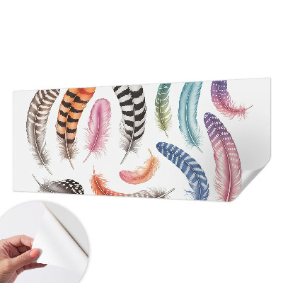 3D fototapetas sienoms su pastelinės spalvos plunksnų raštu
